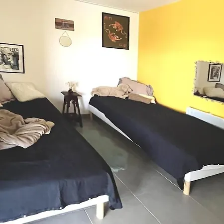 Maison Contemporaine En Bois Avec Piscine * Montcuq