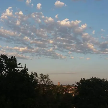 Maison Contemporaine En Bois Avec Piscine * Montcuq