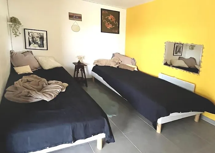 Maison Contemporaine En Bois Avec Piscine * Montcuq